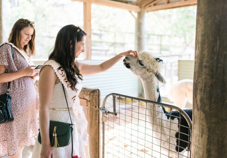 Tierischer Spaß auf der Bridal Shower - In Australien gibt es faszinierende Zoos und Tierparks
