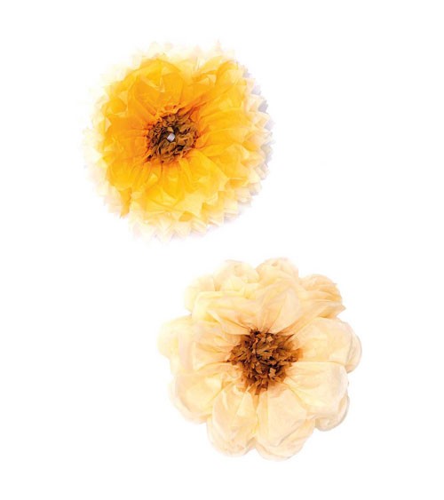 Blumen aus Seidenpapier - creme, gelb - 25 cm - 2 Stück